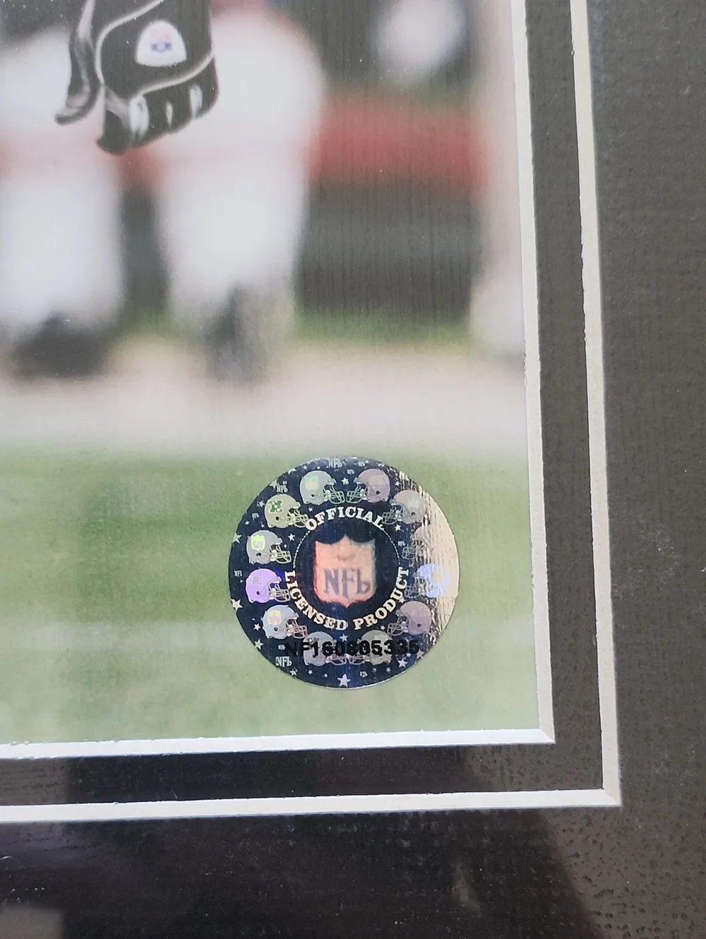 Framed Chicago Bears Brian Urlacher #54 Football Photo Plaque - Black